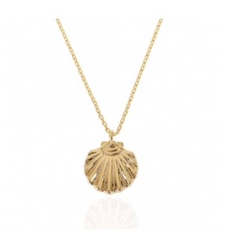 Shell Necklace